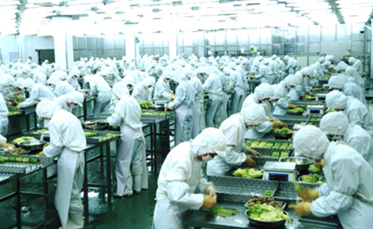 求索企業可持續 走進龍大，探訪生態農業產業鏈中的農產品生產